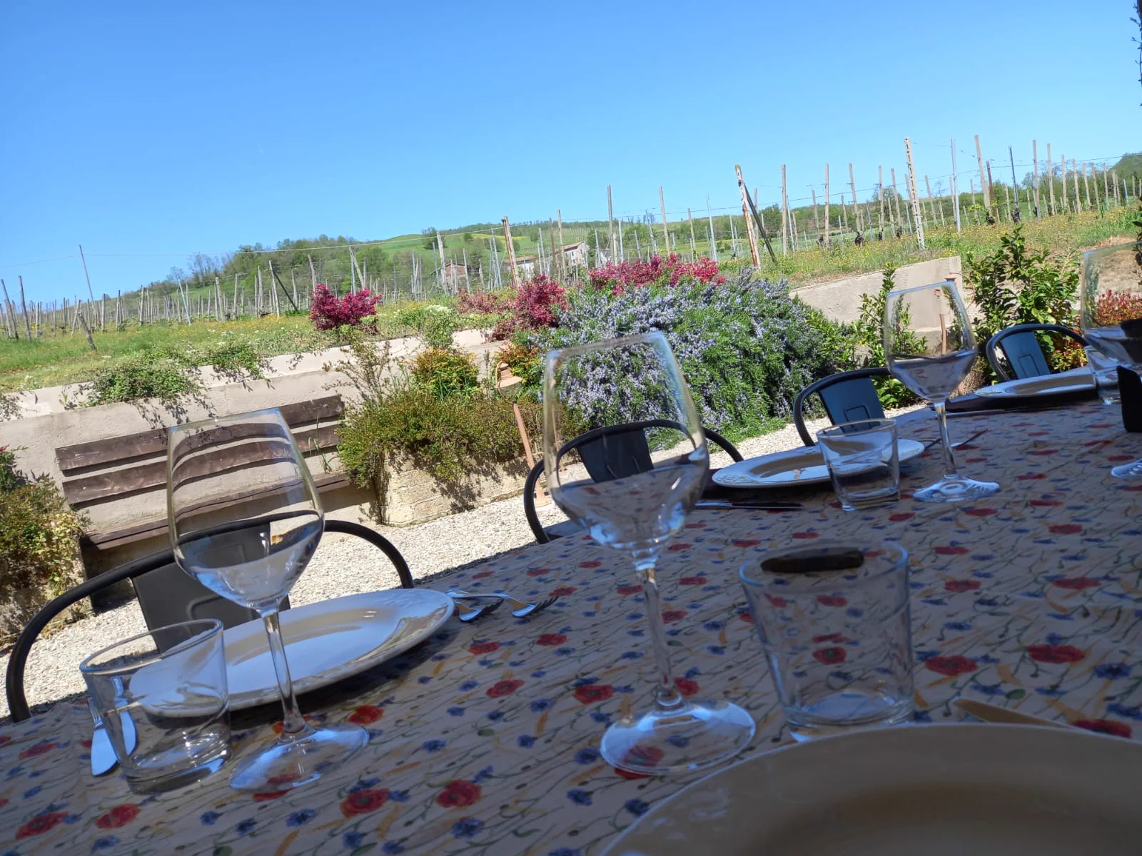 La vista sui vigneti dei Colli Piacentini dall'agriturismo Uva Matta