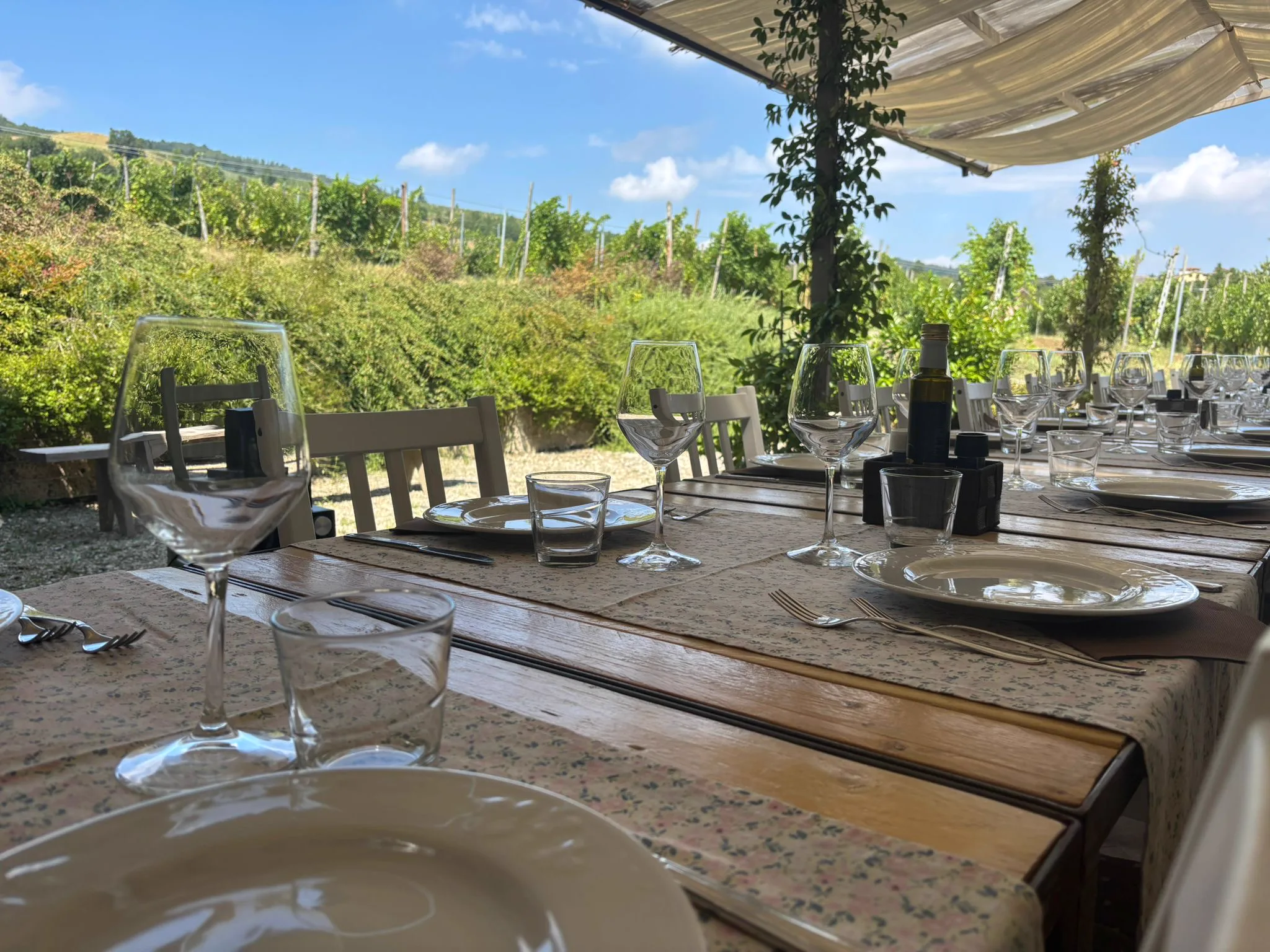 La vista sulle vigne e le colline piacentine dall'agriturismo Uva Matta