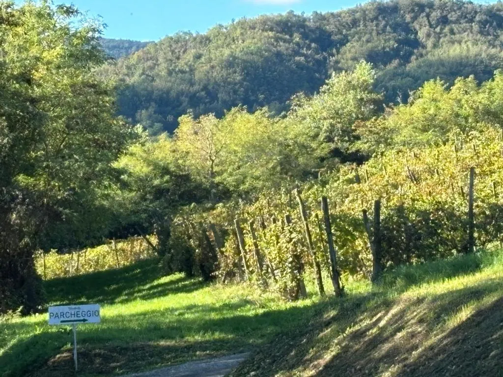 L'ingresso dell'agriturismo Uva Matta tra il verde della collina
