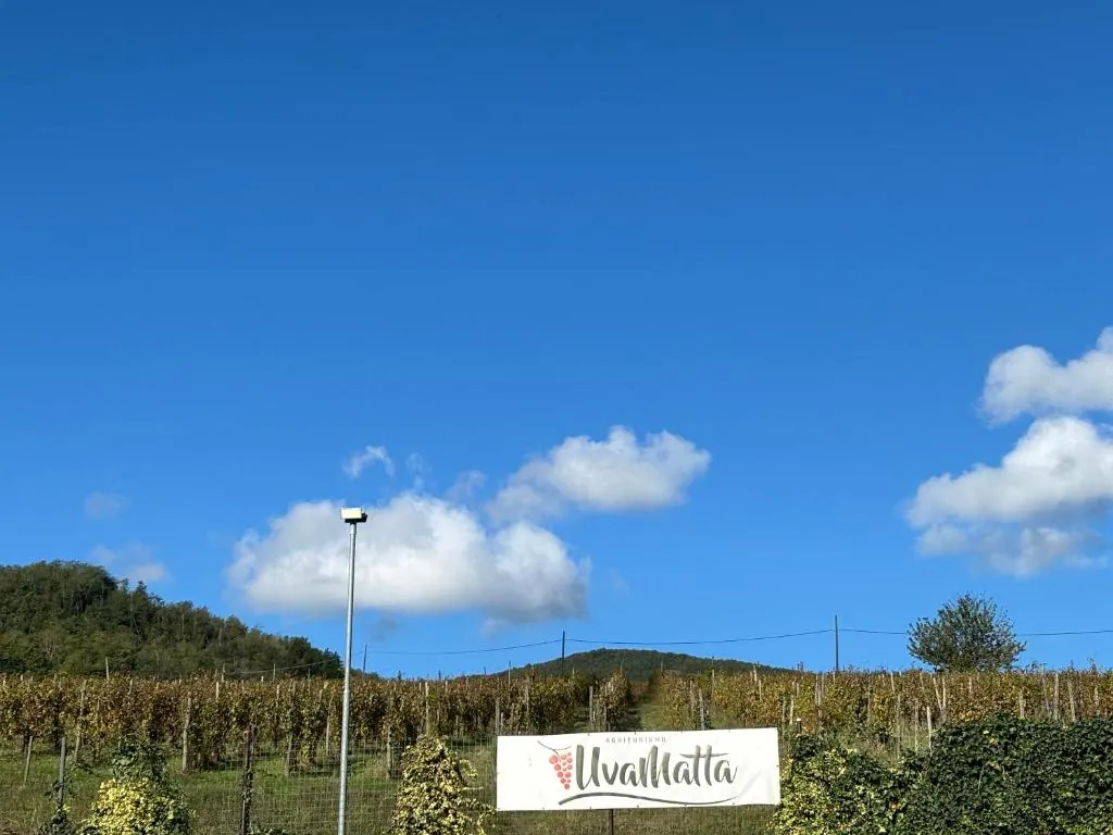 Vista sulle colline piacentine dall'agriturismo Uva Matta