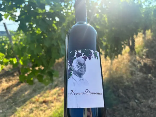 L'etichetta del vino Nonno Domenico, con il ritratto del nonno tra i grappoli